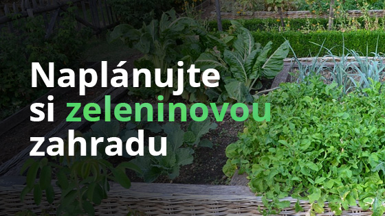 Naplánujte si zeleninovou zahradu