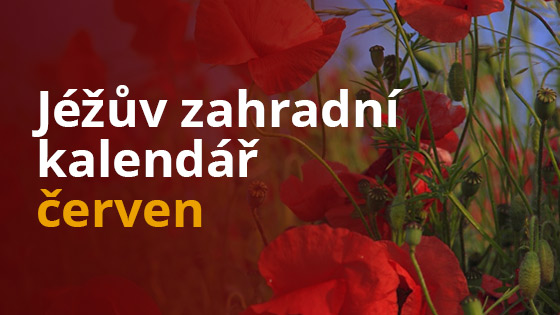 Jéžův zahradní kalendář – červen