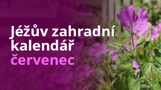 Jéžův zahradní kalendář – červenec
