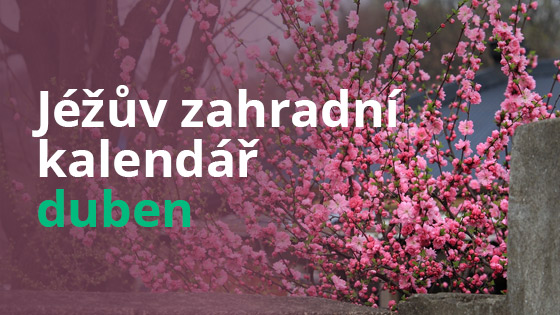 Jéžův zahradní kalendář – duben