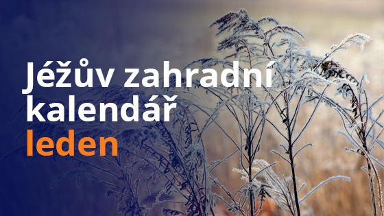 Jéžův zahradní kalendář - leden