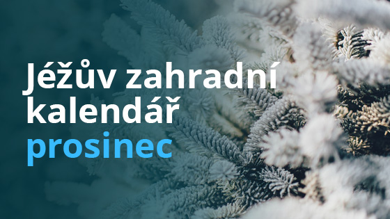 Jéžův zahradní kalendář - prosinec