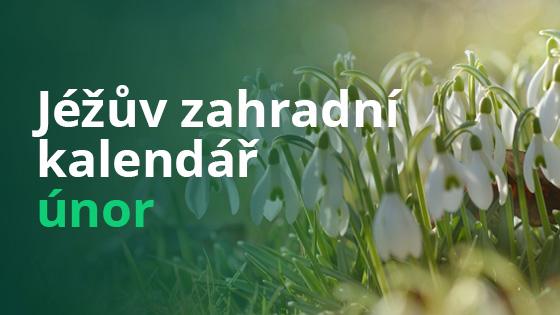 Jéžův zahradní kalendář – únor