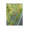 Zahradní skleník Gardentec STANDARD 4 x 2,5 m
