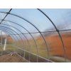 Zahradní skleník Gardentec CLASSIC T Profi 8 x 3 m