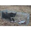 Profesionální past na lišky, kuny, vydry a kočky TRAP ST118x34x34V1