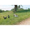 Nevodivá síť pro drůbež KERBL 292276, 106 cm x 50 m / 1 hrot